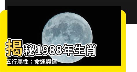 1988 土龍|【1988年五行】1988年五行屬什麼？龍年出生五行缺什麼？